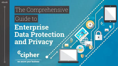 The Comprehensive Guide to Enterprise Data Protection and Privacy eBook